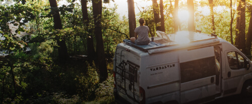 VANDALVAN cover logo